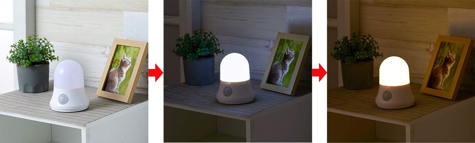 Amazon | スマイルキッズ センサーライト ハンガーセンサー